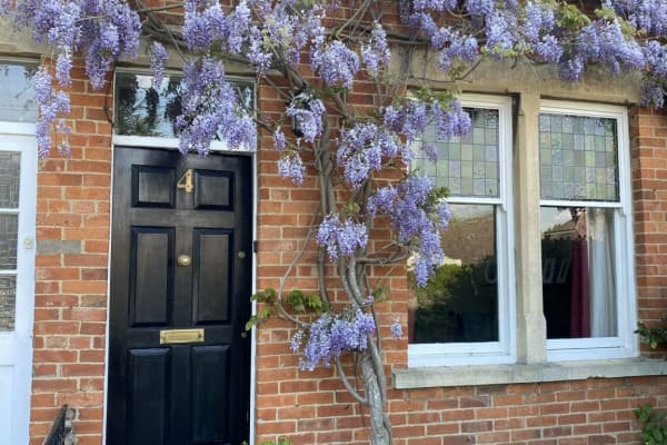 House sit in Witney, United Kingdom