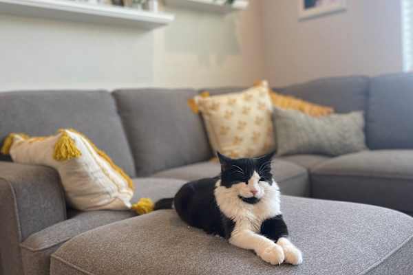House sit in Redmond, OR, US