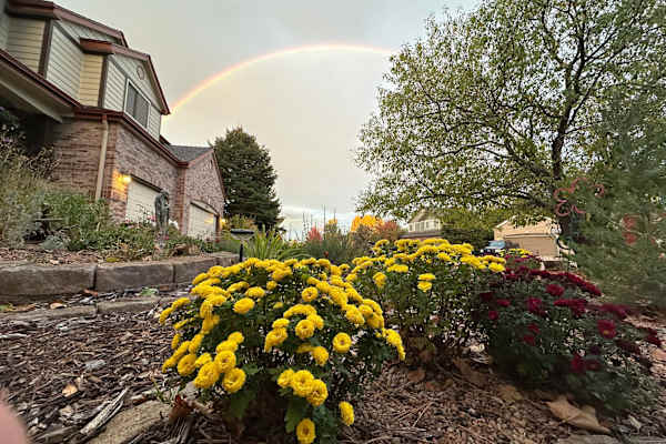 House sit in Parker, CO, US