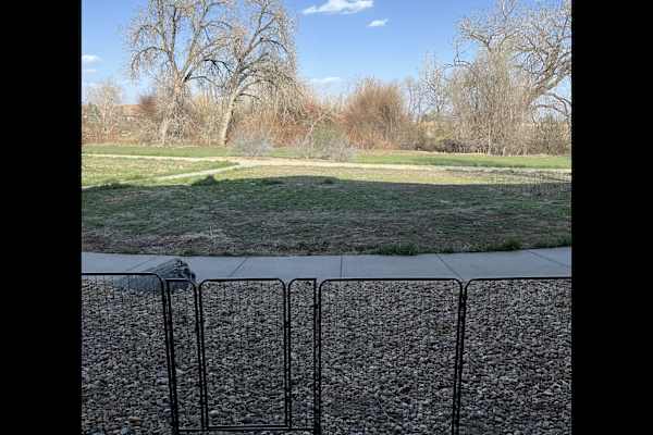 House sit in Loveland, CO, US
