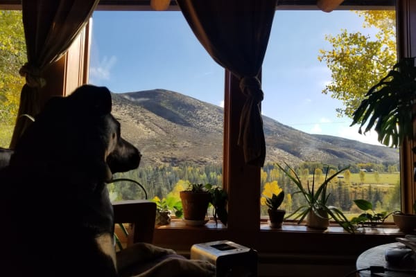 House sit in Snowmass, CO, US