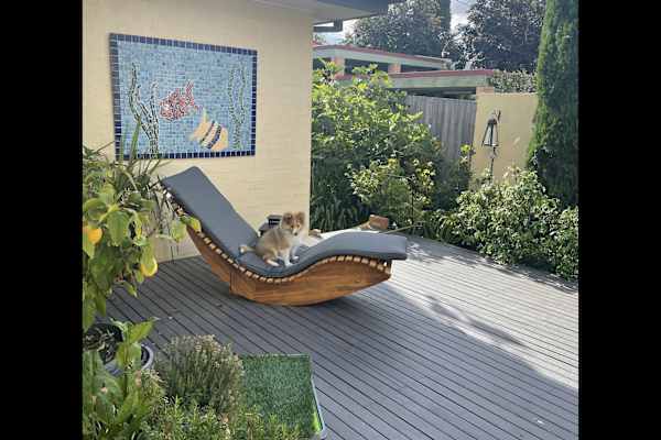 House sit in Canberra, Australian Capital Territory, Australia