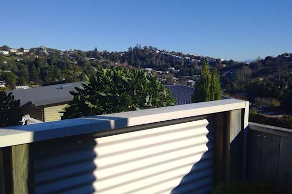 House sit in Nelson, New Zealand