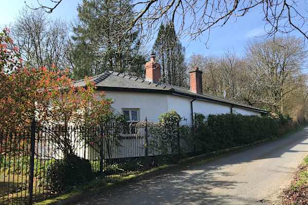 House sit in Carmarthen, United Kingdom