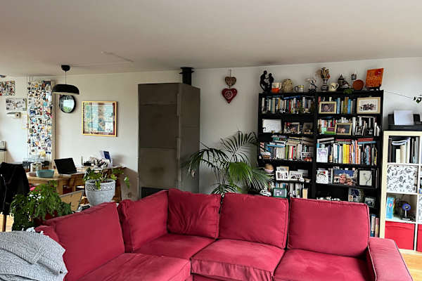 House sit in Leiden, Netherlands