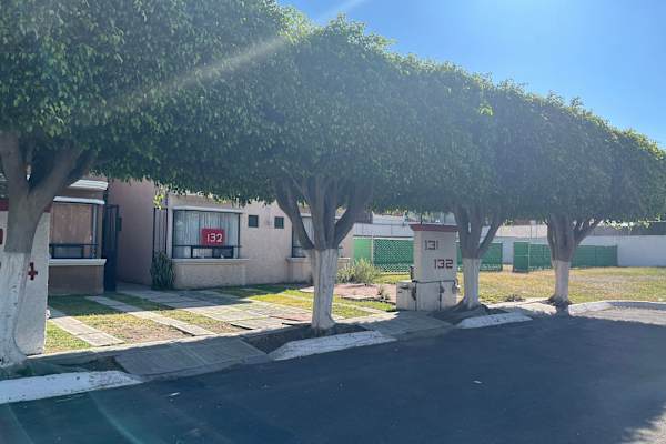 House sit in Santiago de Querétaro, Mexico
