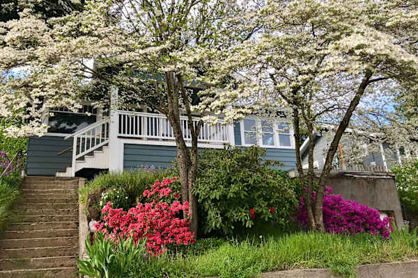 House sit in Portland, OR, US