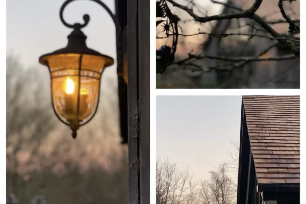 House sit in Sevenoaks, United Kingdom