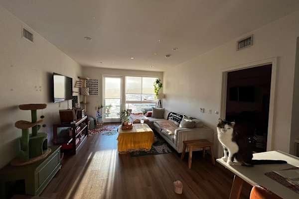 House sit in Northridge, CA, US