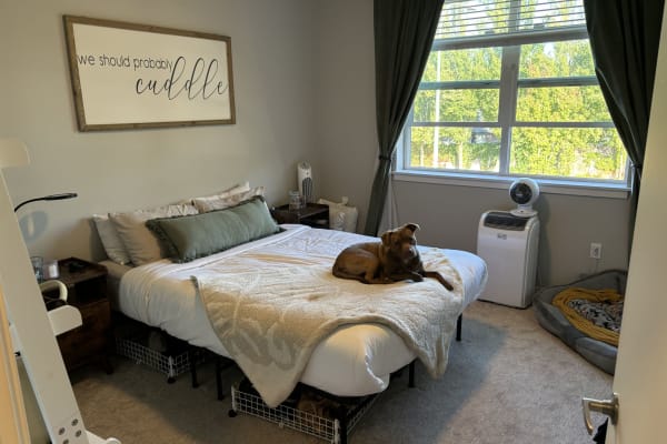 House sit in Sherwood, OR, US