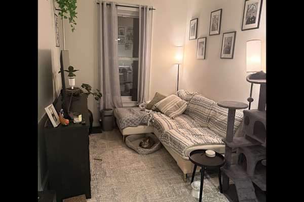 House sit in Astoria, NY, US