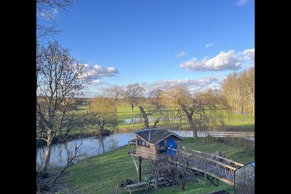 House sit in Cobham, United Kingdom