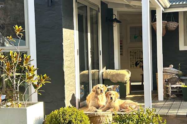 House sit in Arrowtown, New Zealand