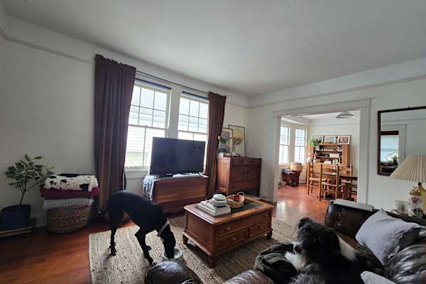 House sit in New Orleans, LA, US