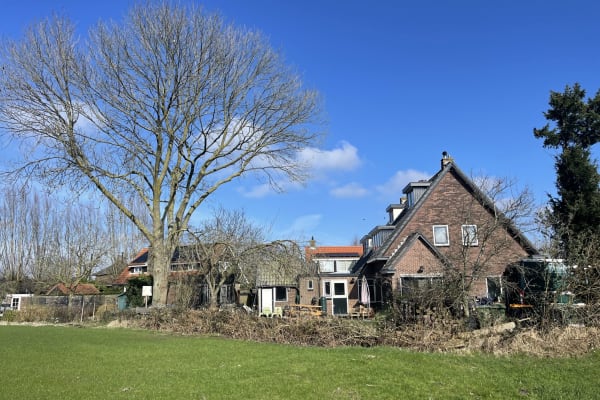 House sit in Kortenhoef, Netherlands