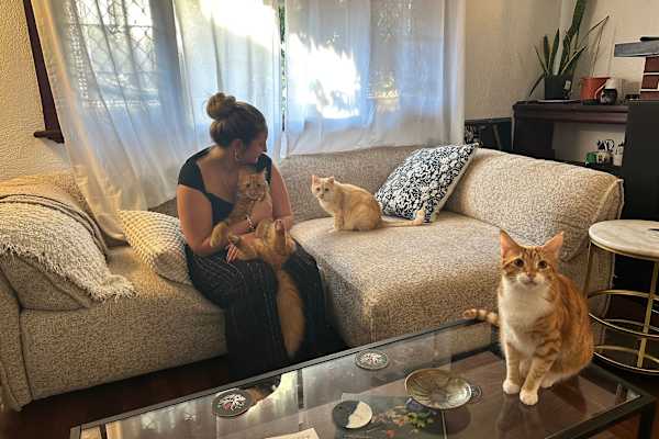 House sit in Perth, WA, Australia