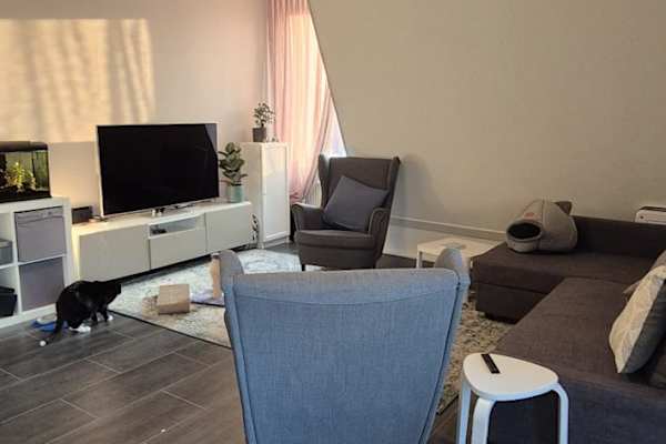 House sit in Amersfoort, Netherlands