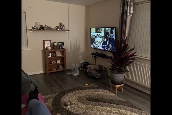 House sit in Aberdare, United Kingdom