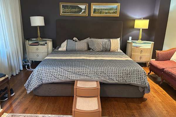 House sit in Montréal, QC, Canada