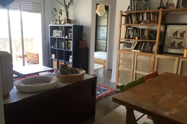 House sit in Barcelona, Spain