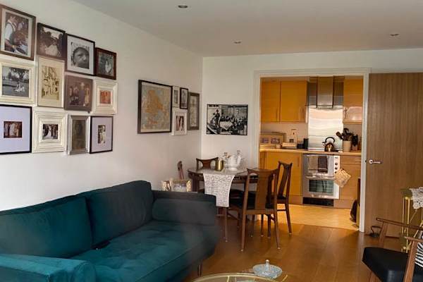 House sit in Kingston upon Thames, United Kingdom