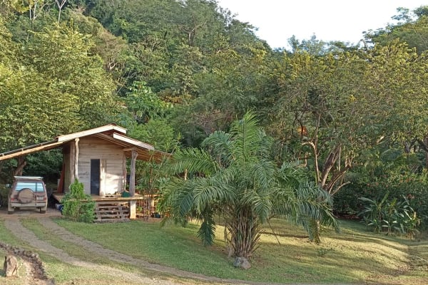 House sit in Puerto Coyote, Costa Rica