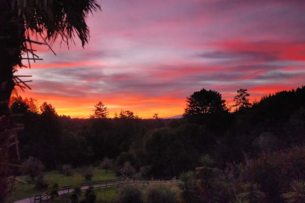 House sit in Aptos, CA, US