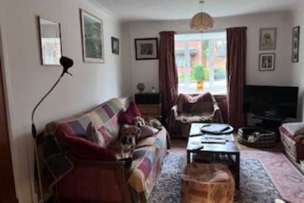 House sit in Hitchin, United Kingdom