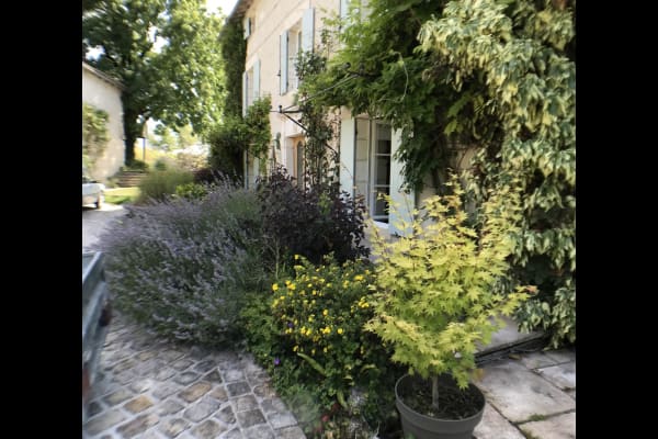House sit in Verteillac, France