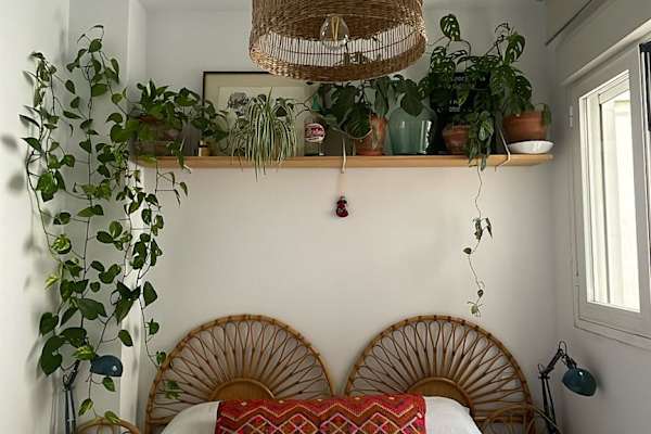 House sit in Madrid, Spain