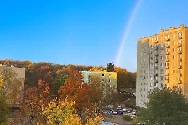 House sit in Warsaw, Poland