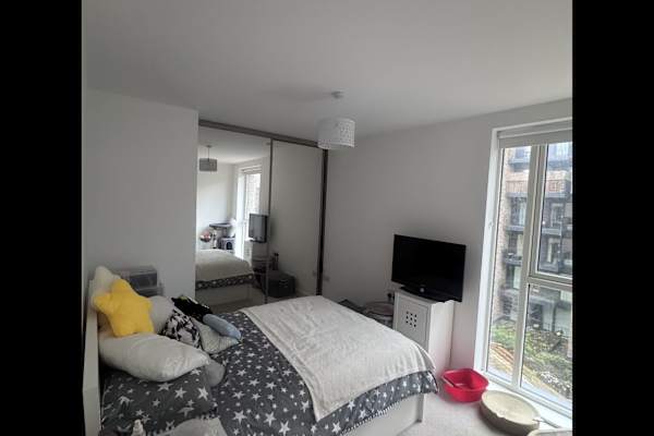 House sit in Beckenham, United Kingdom