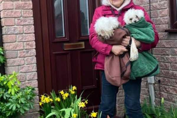 House sit in Frome, United Kingdom