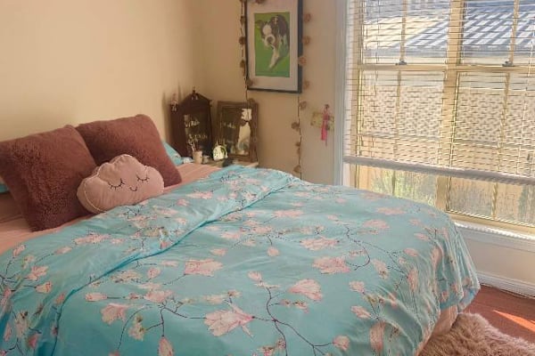 House sit in Wollongong, NSW, Australia