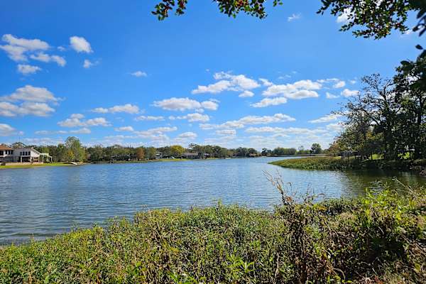 House sit in College Station, TX, US