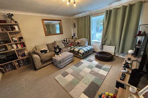 House sit in Keighley, United Kingdom