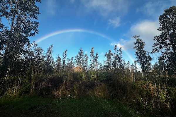 House sit in Mountain View, HI, US