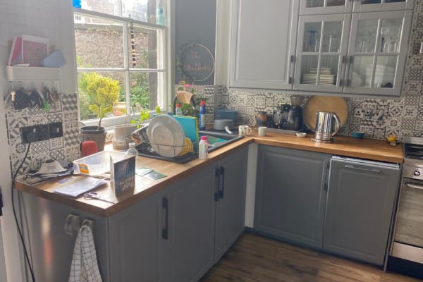 House sit in Dundee, United Kingdom