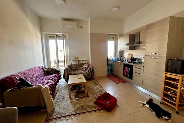 House sit in Pescara, Italy