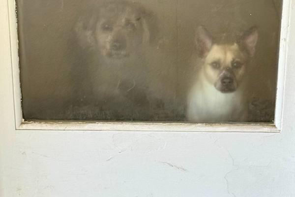 House sit in Philadelphia, PA, US