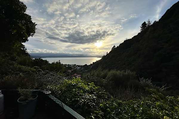 House sit in Eastbourne, New Zealand