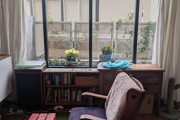 House sit in Melbourne, VIC, Australia