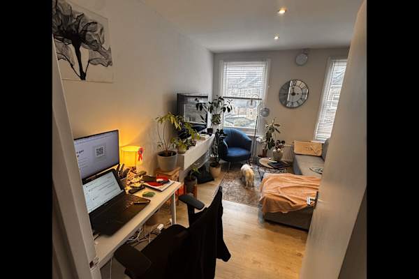House sit in London, United Kingdom