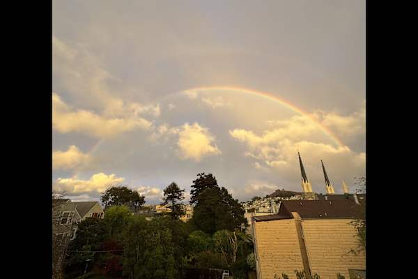House sit in San Francisco, CA, US