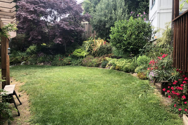 House sit in Piedmont, CA, US