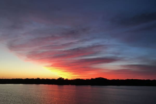 House sit in Traverse City, MI, US