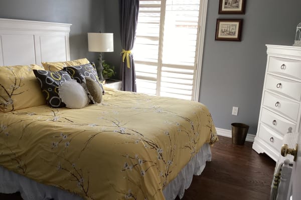 House sit in Peterborough, ON, Canada