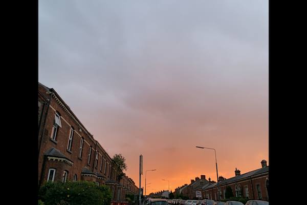 House sit in Dublin, Ireland