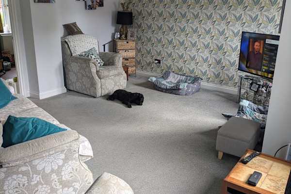 House sit in Trowbridge, United Kingdom