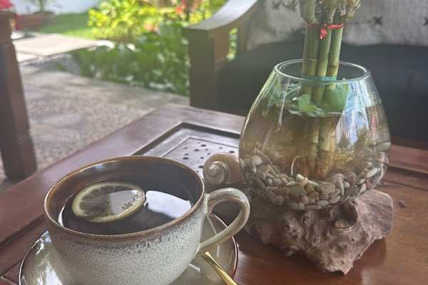 House sit in Nusa Dua, Indonesia